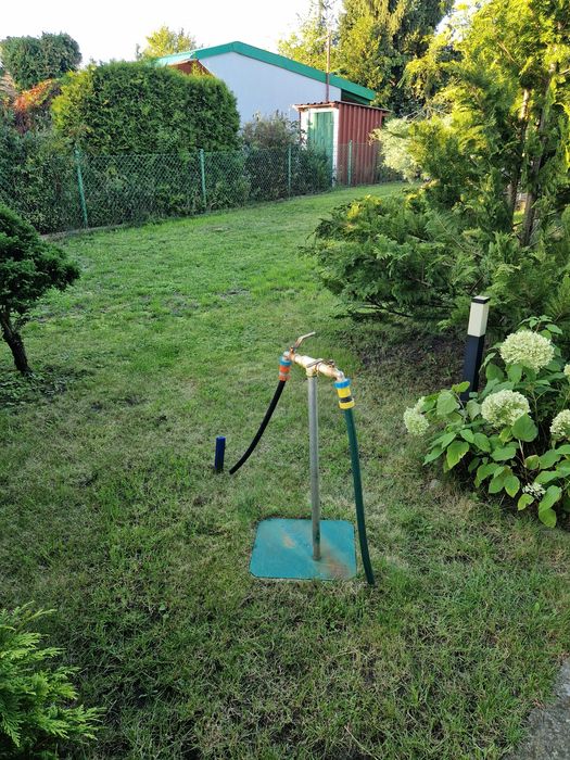 Zdjęcie 5