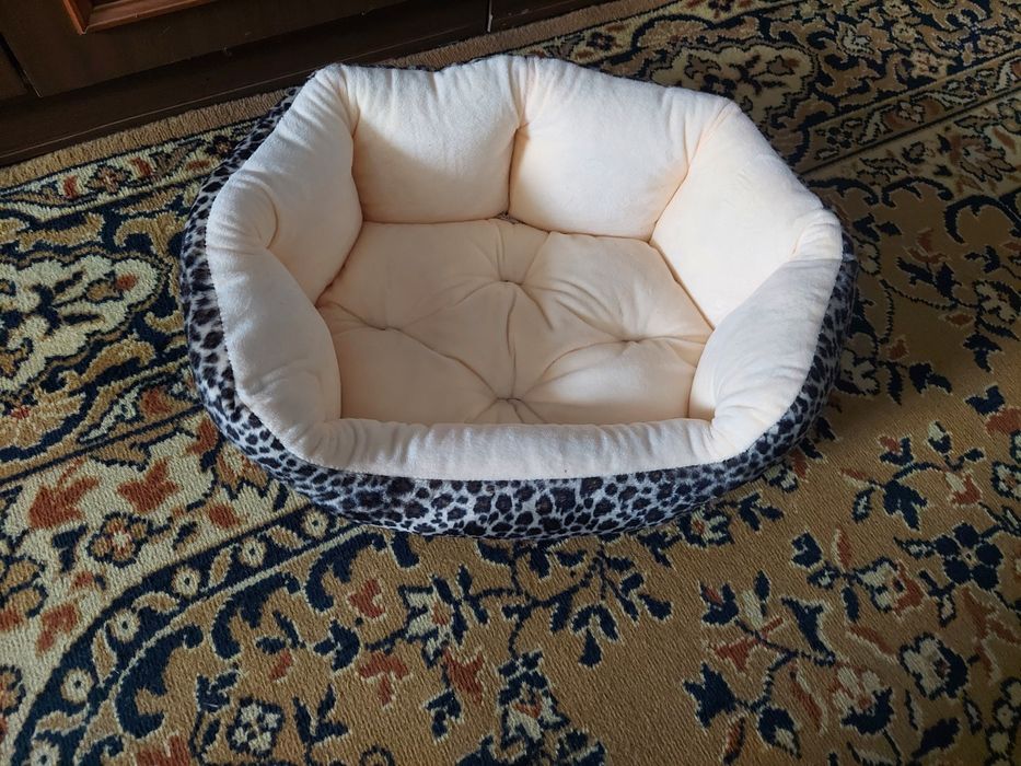 Ліжечко для кошеня