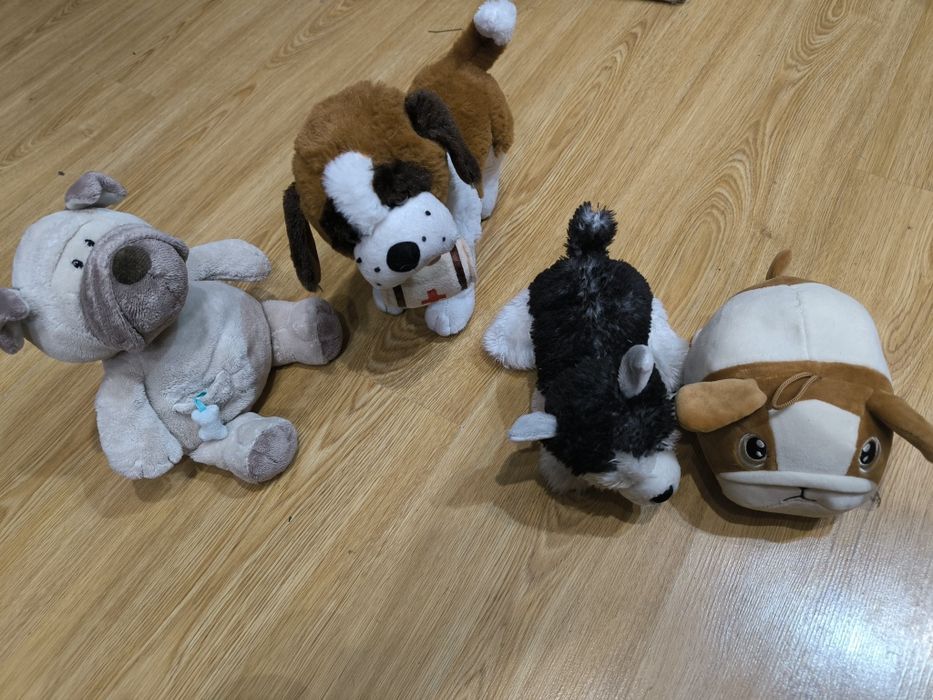 Maskotki pluszaki pieski bernardyn husky