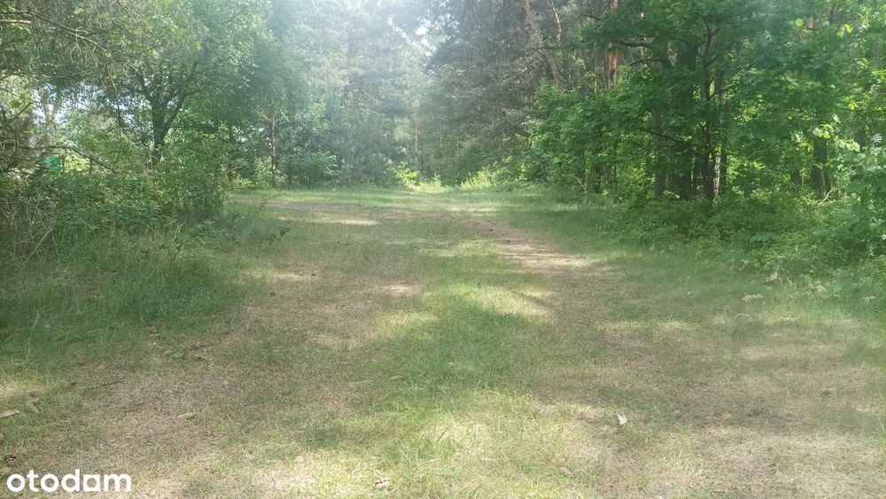 działka/teren nad zalewem Nakło-Chechło - Widok 2