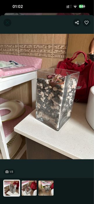 Jarra ou vaso transparente, dá para aquário