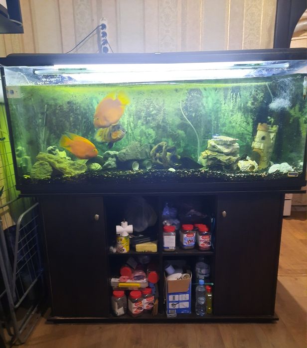 Аквариум 450 литров
