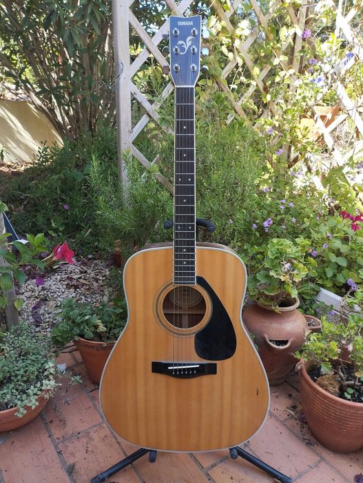 YAMAHA FG-441 Acoustic Guitar / Guitarra