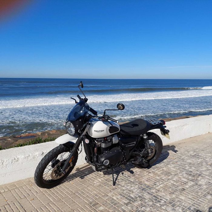 Triumph Street Scrambler 900