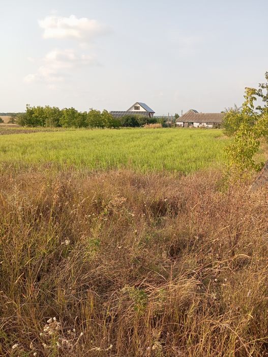 Продам участок землі 0,1448, смт Маньківка, Уманський район, Черкасько