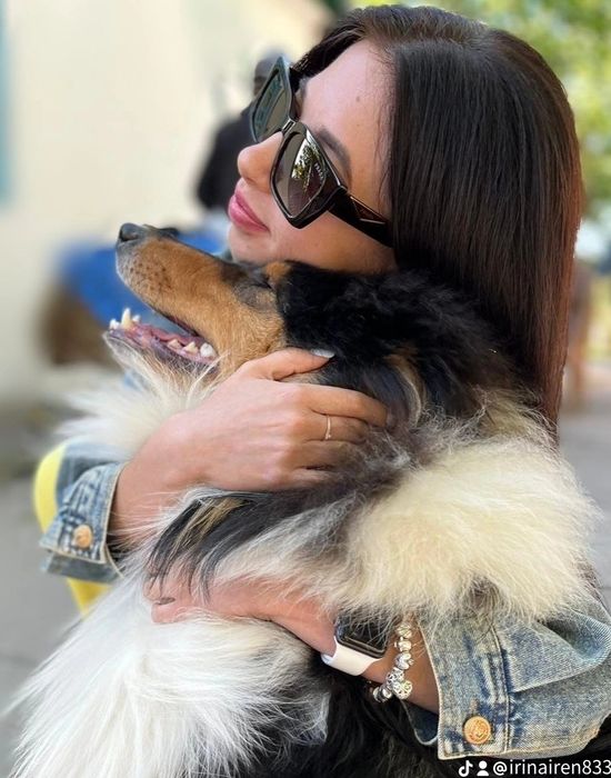 Колли кобель вязка , случка КСУ г. Днепр