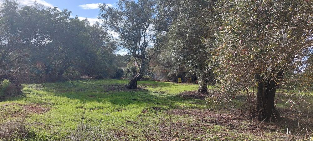 Terreno a 1km de Paderne