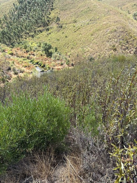 Terreno Rustico com acesso por estrada