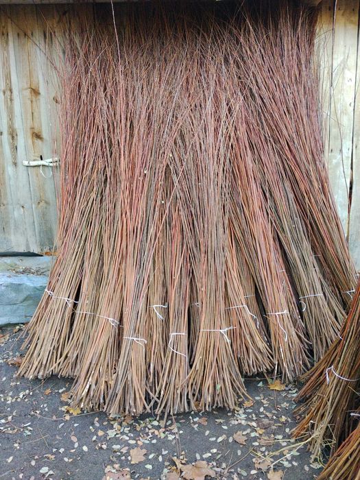 Wiklina sucha niekorowana