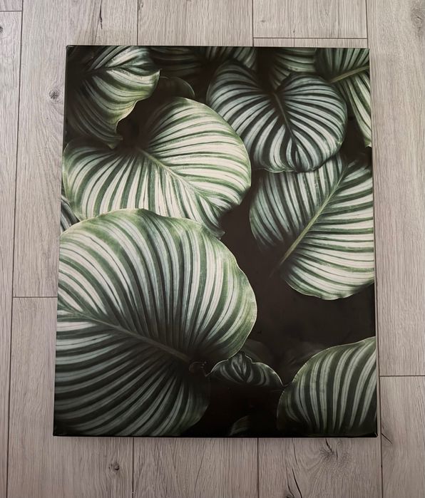 Obraz na płótnie liście 40x50cm obrazek canvas leaf art wall decor botanical print