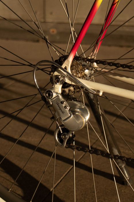 Veneto First Campagnolo Athena