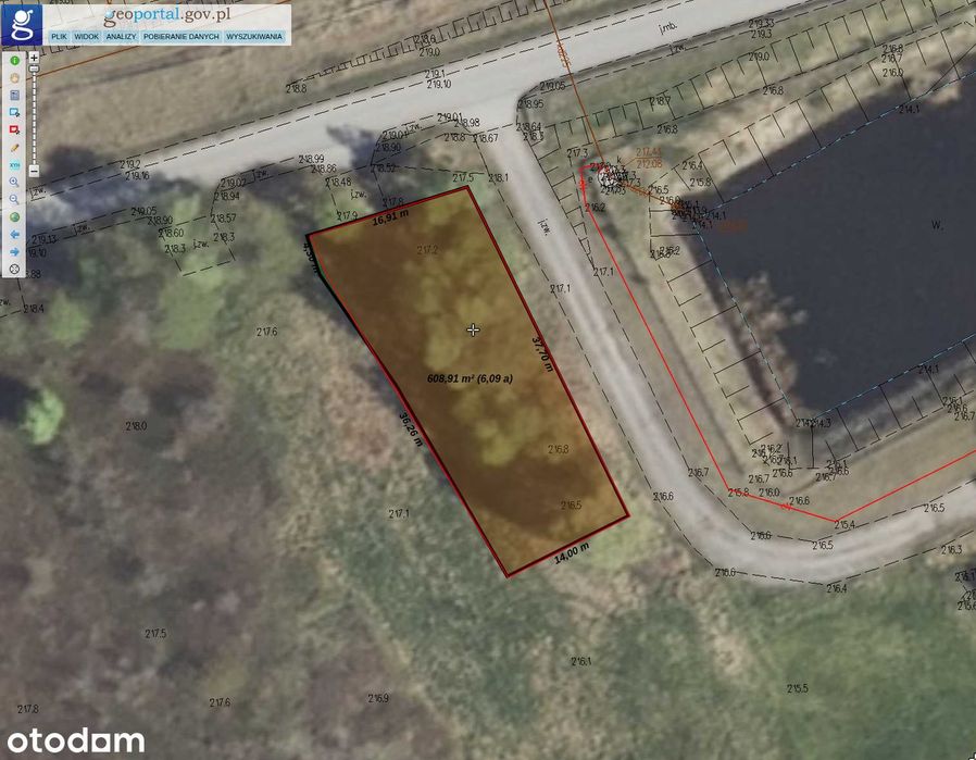 Kozodrza działka rolna 6000 m² w spokojnej okolicy - Widok 2
