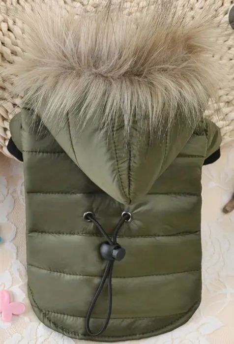 Одяг для домашніх улюбленців.