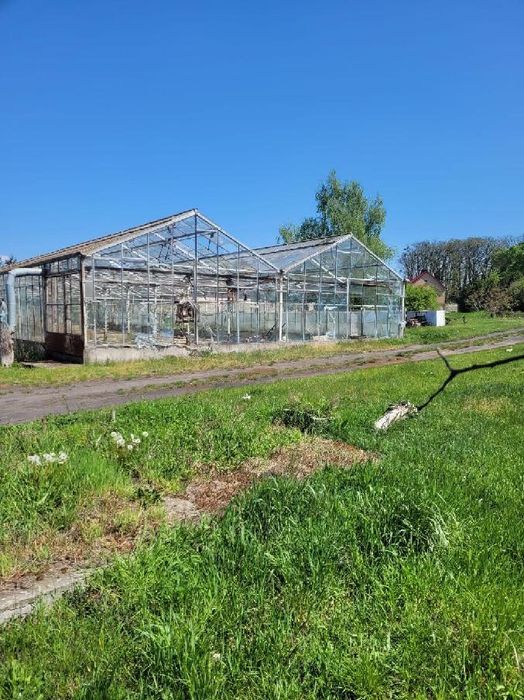 Kompleksowe Rozbiórki Szklarni.