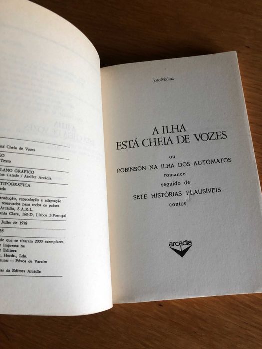 A ilha está cheia de vozes     JOÃO MEDINA