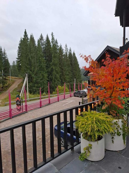 Продаю сучасний котеджний комплекс в серці Карпат! Працюючий бізнес.