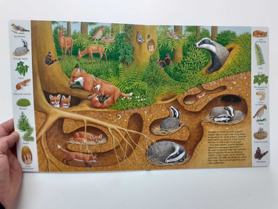 Livro A Casa dos Animais