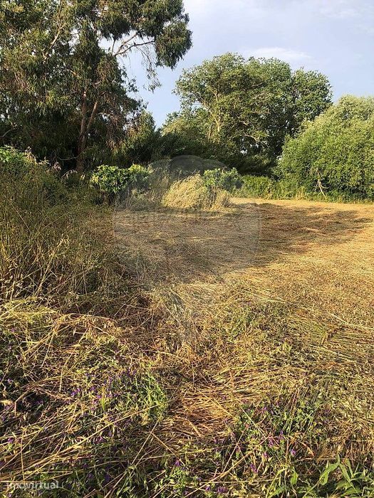 Terreno  para venda