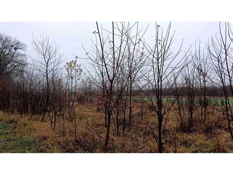 Земельна ділянка (0,0882 а) - с. Стадниця, Вінницька обл.