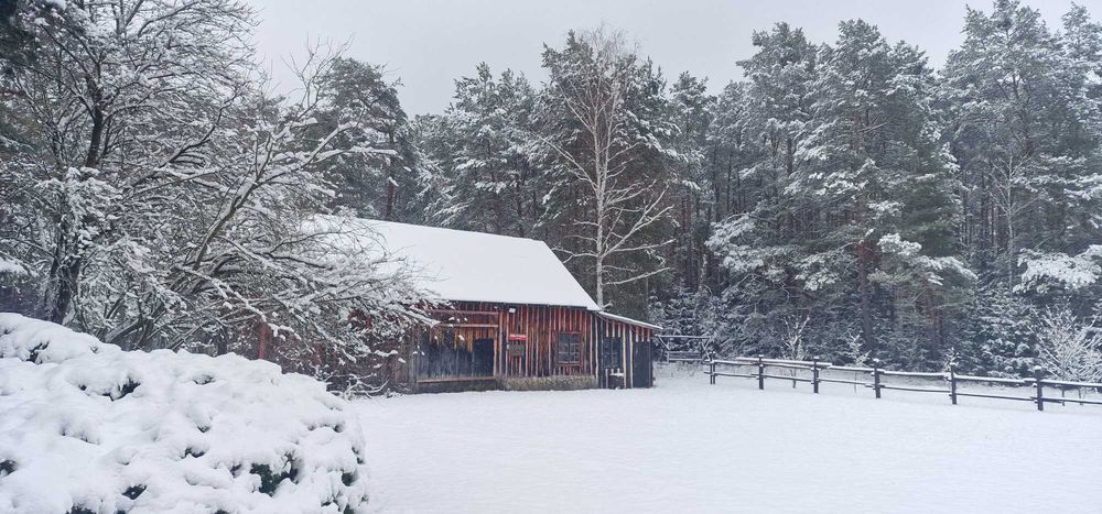 Dom, Villa , Sylwester, Sauna, Las, blisko Warszawy 5.000 cały pobyt