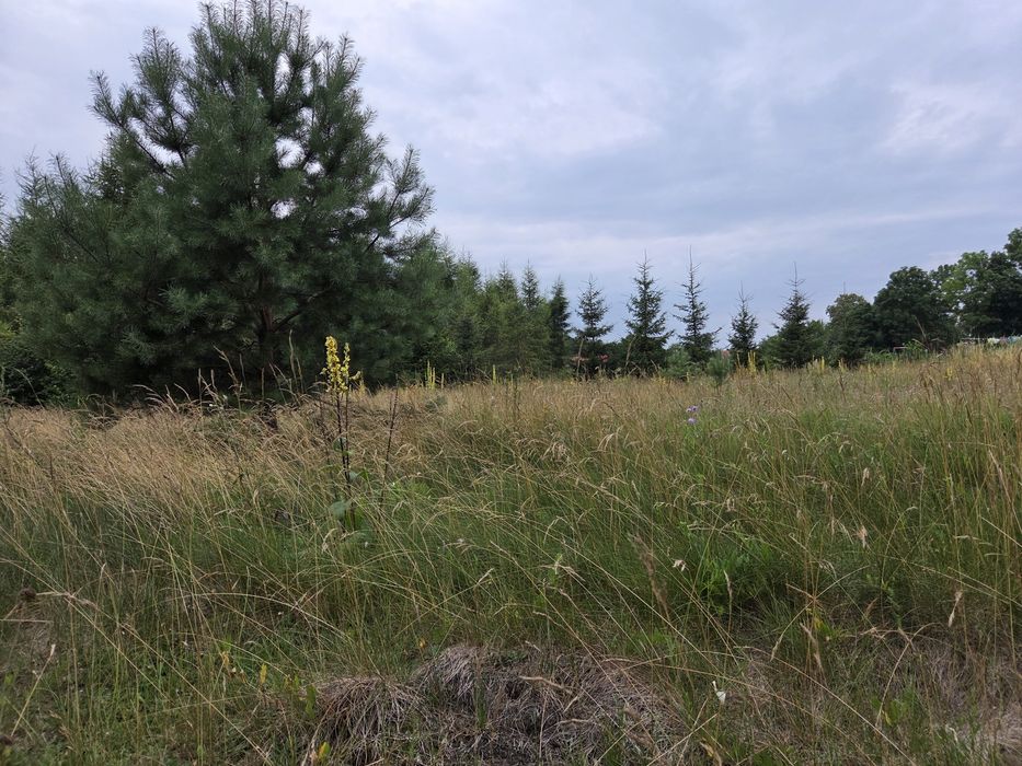 Działka na Mazurach budowlana z wz Mazury