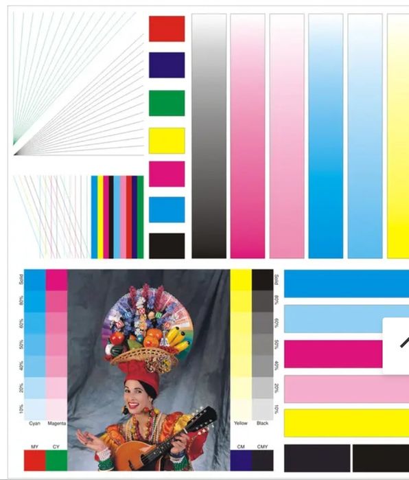 Печатающая головка print head  F190000  Epson WF7010-7510