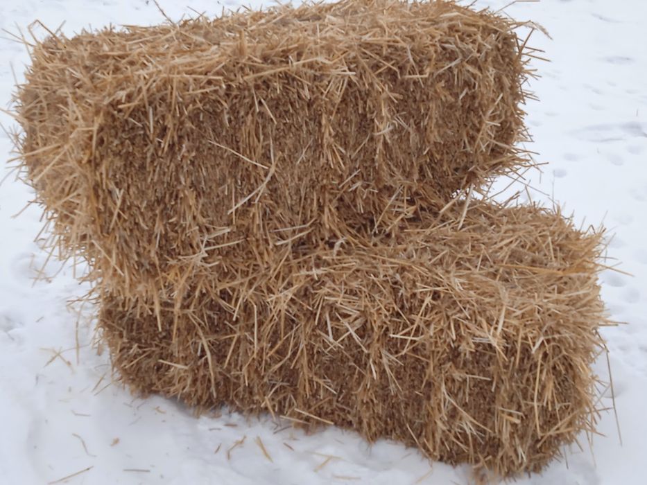 Продам солому 50грн тюк