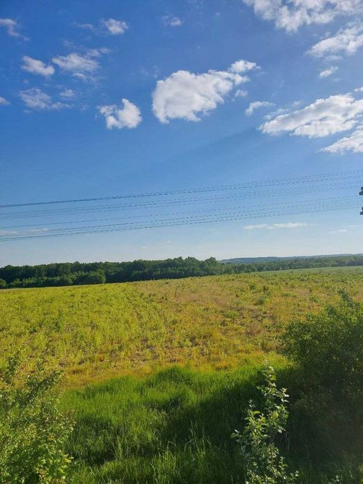 с.Бірки, продаж ділянки 58с.землі