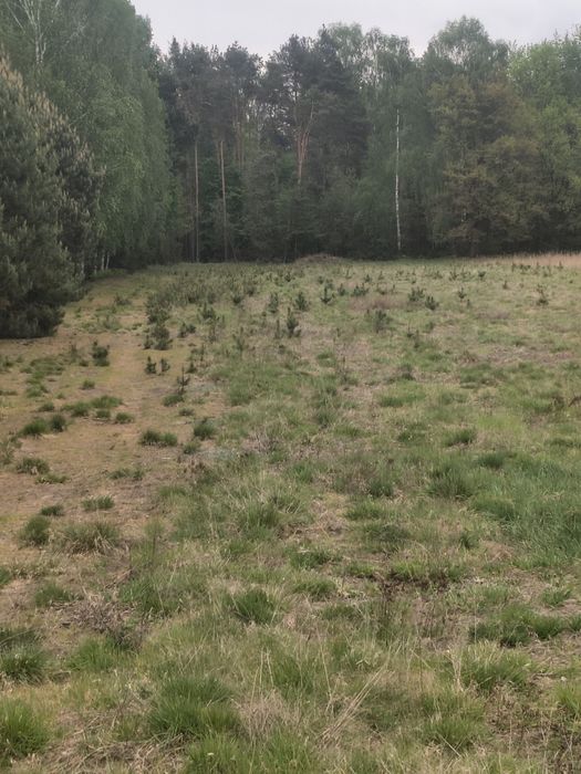 Działka budowlana