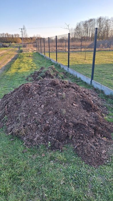 Kora sosnowa do oddania