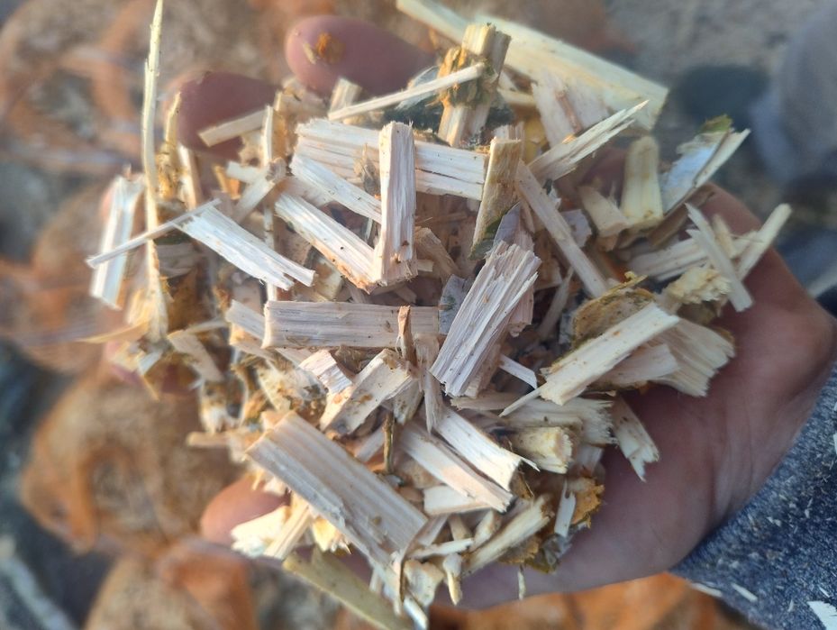 Zrębki ściółka kompost