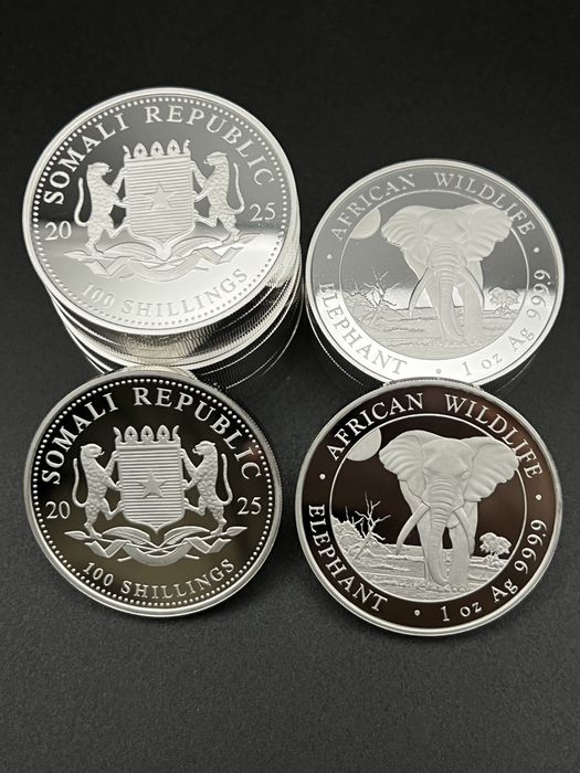 Срібна монета Слон 2025-2026 року