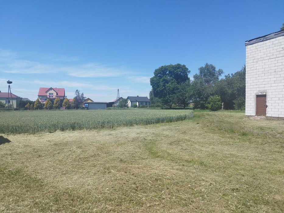 Siedlisko na sprzedaż 1,58 ha Wólka Orłowska
