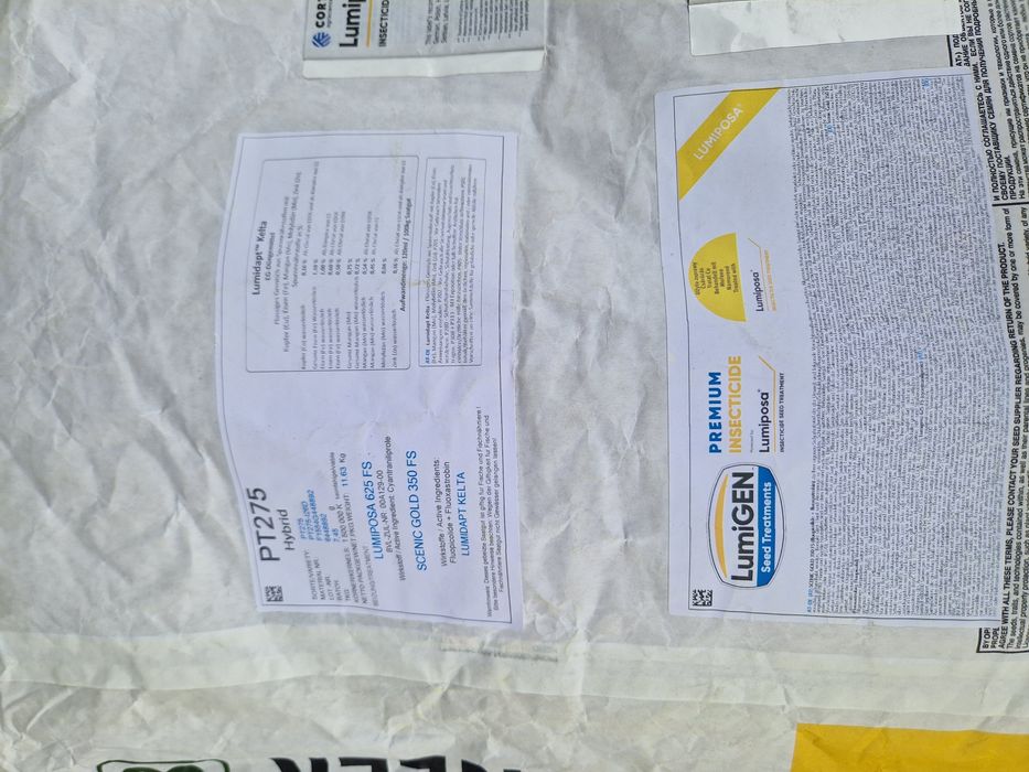 Nasiona rzepaku piooner pt275 okazja lumpiposa lumidapt