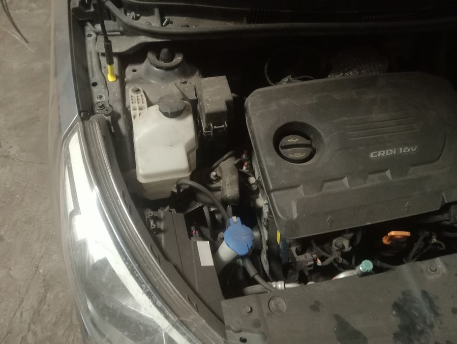 Hyundai accent hatchback