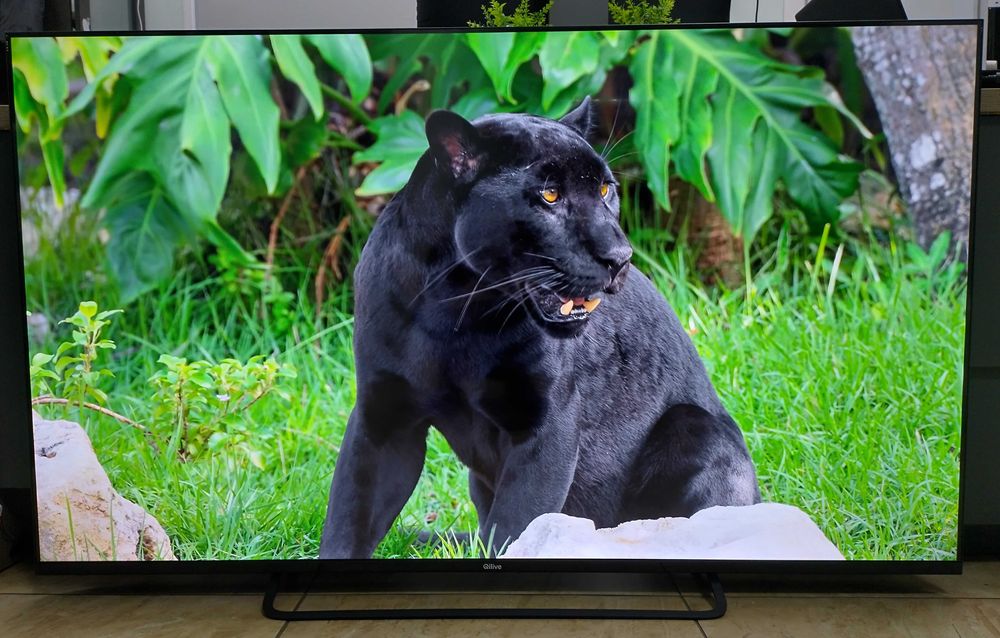 Тонкий телевізор Qilive 65" (Q65UA231B) 4K з Wi-Fi, Smart TV, T-2