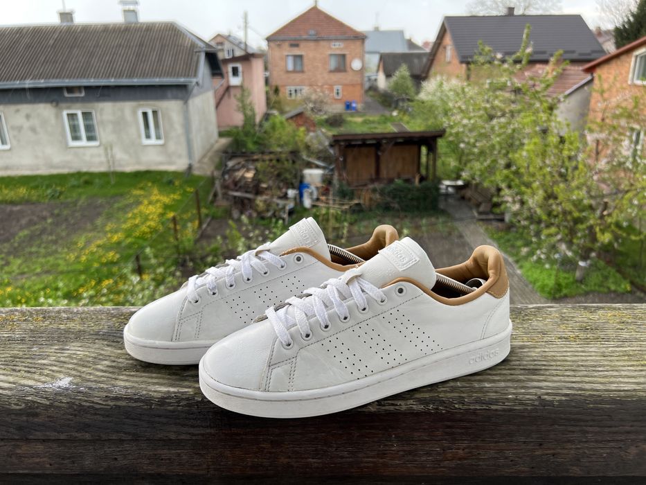 Кросівки Adidas (42)