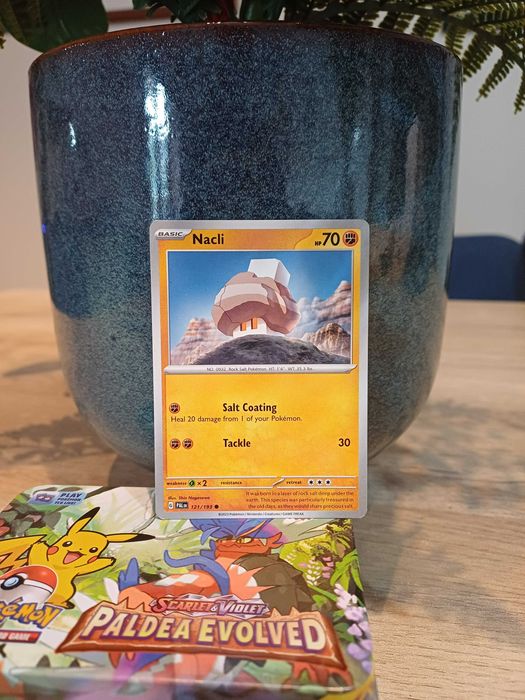 Carta Pokémon Nacli #121