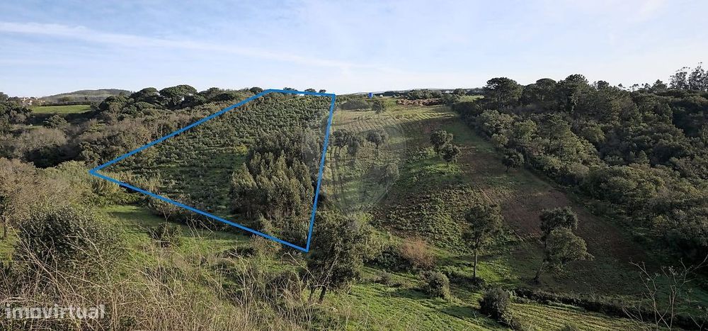 Terreno  para venda — Venda Do Pinheiro E Santo Estêvão Das Galés, Lisboa