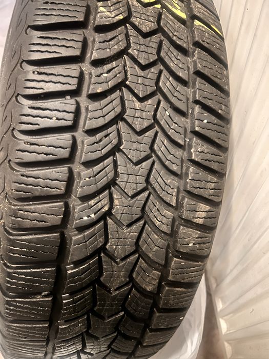Opony zimowe  Dębica
