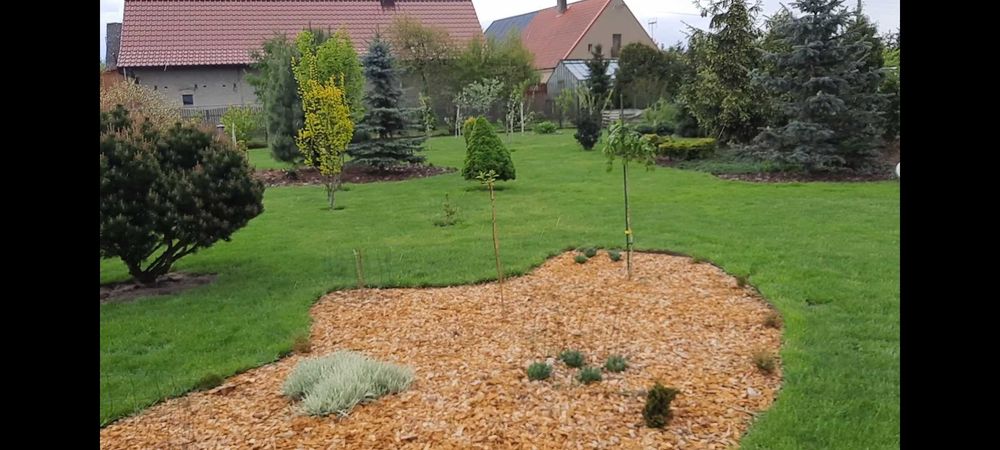 usługi koparkoładowarką mini koparką studnie głębinowe