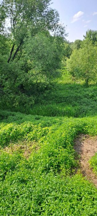 Продам ділянку 9 соток в Соколовському масиві