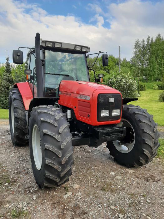 Massey Ferguson 6290 sprowadzony