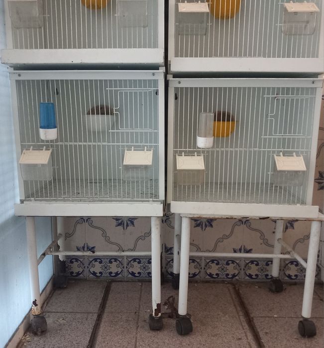 Viveiros de criação