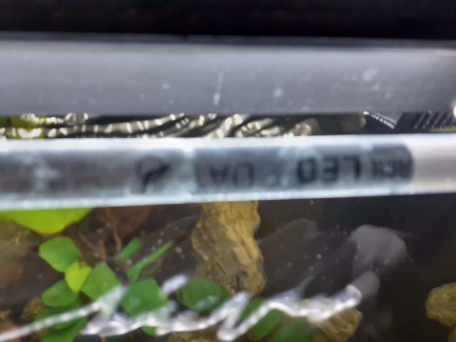 Sprzedam akwarium na gwarancji