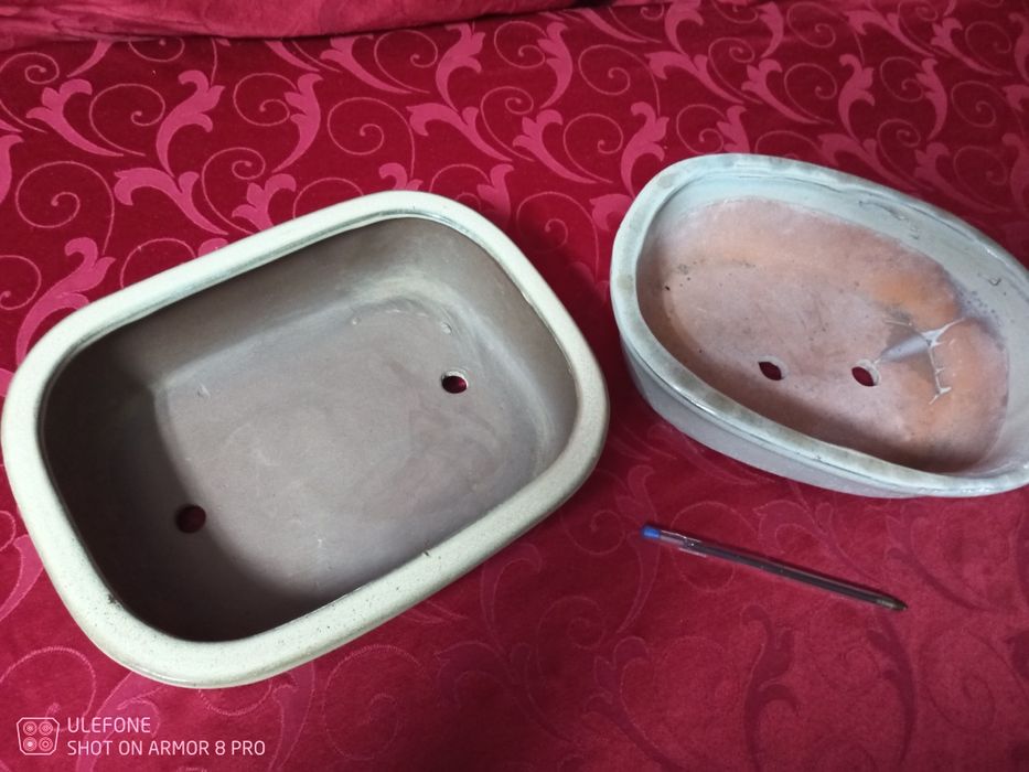 2 vasos bonsai usados