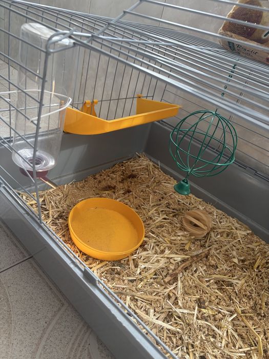 Gaiola para coelhos em otimo estado!!
