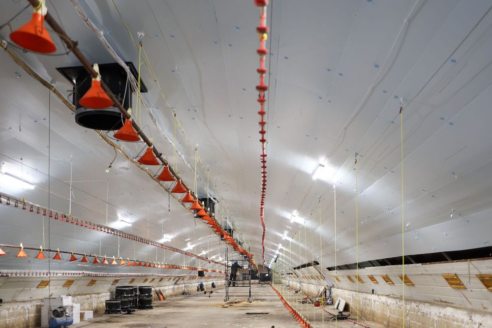 Błękitne Panele Izolacyjne Podsufitka Styrodur XPS AGRO 4,5,6,8,10,12