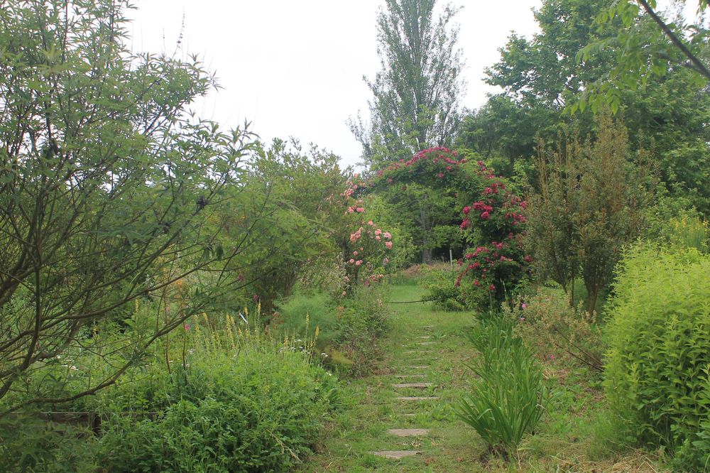 casa de campo em madeira na natureza