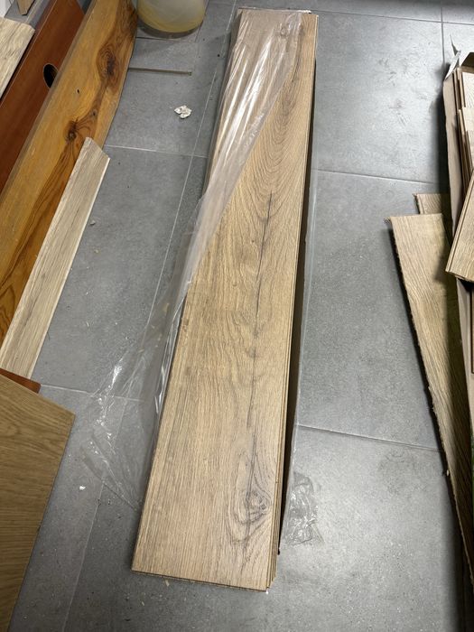 Dąb Kanada Weninger 2,8m